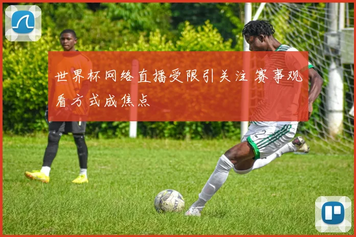 世界杯网络直播受限引关注 赛事观看方式成焦点