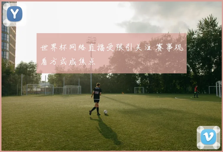 世界杯网络直播受限引关注 赛事观看方式成焦点