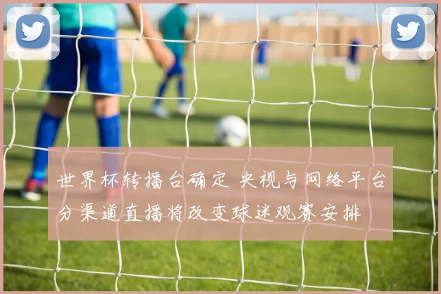 世界杯转播台确定 央视与网络平台分渠道直播将改变球迷观赛安排
