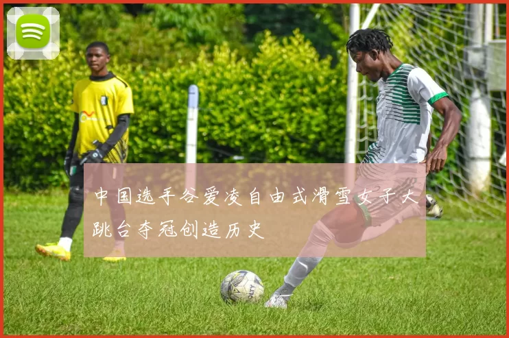 中国选手谷爱凌自由式滑雪女子大跳台夺冠创造历史